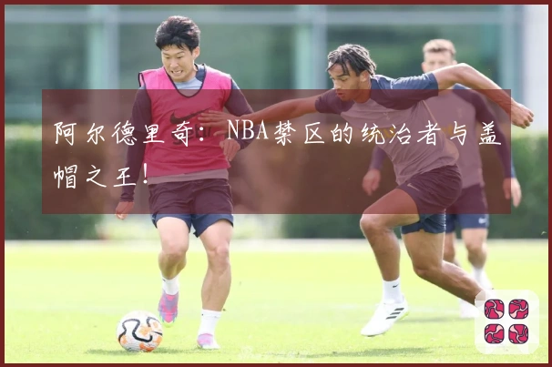 阿尔德里奇：NBA禁区的统治者与盖帽之王！