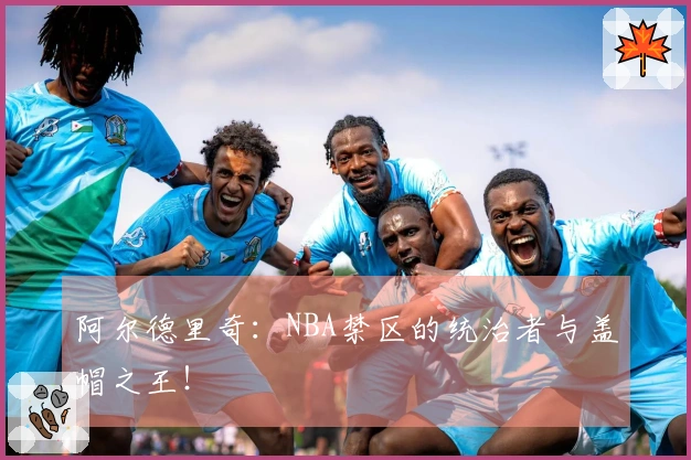阿尔德里奇：NBA禁区的统治者与盖帽之王！